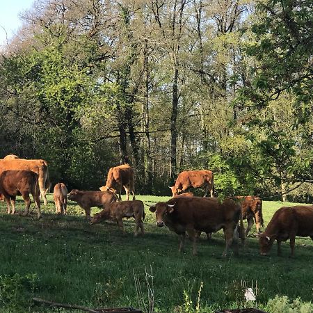 Les Ombrieres Bed & Breakfast Porcheresse Eksteriør bilde